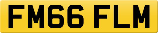 FM66FLM